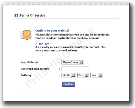 図8：Facebookを装いパスワードの入力を促すフィッシングサイト