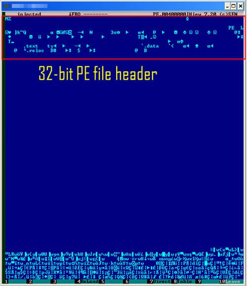 図1：32ビット版の「ZBOT」