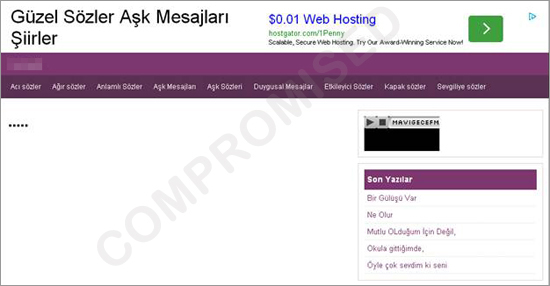 図5：トルコ語で書かれた Webサイト