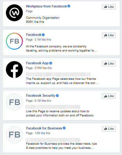 図13：認証バッジが付与された正式なFacebookページ